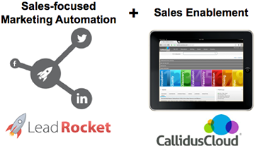 An image from the LeadRocket case study